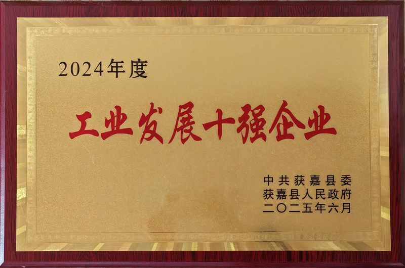 工业发展十强企业
